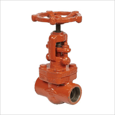 Forged Steel Globe Valve